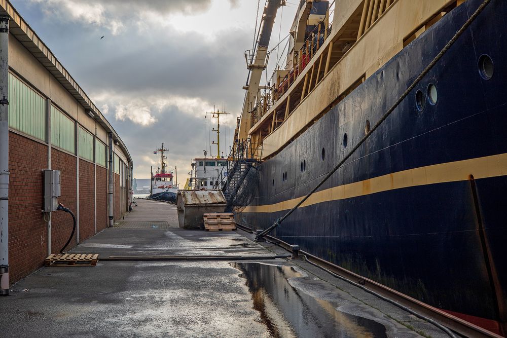 Festgemacht im Fischereihafen II, Bremerhaven