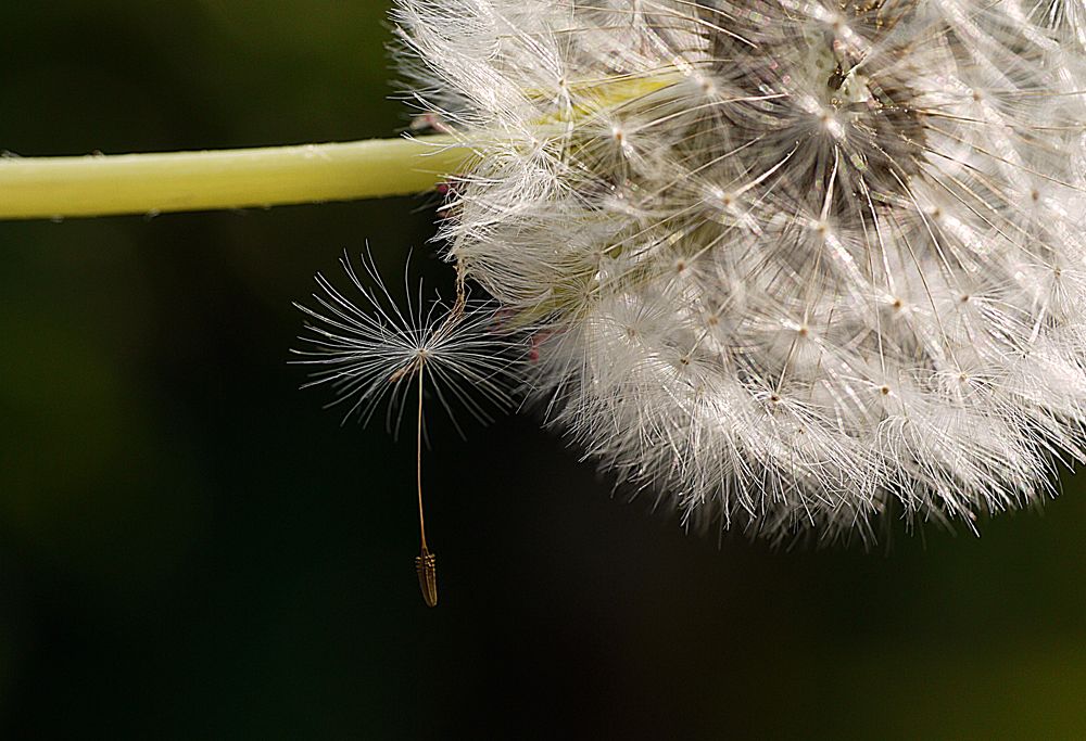 festhalten von Lieselotte D. 