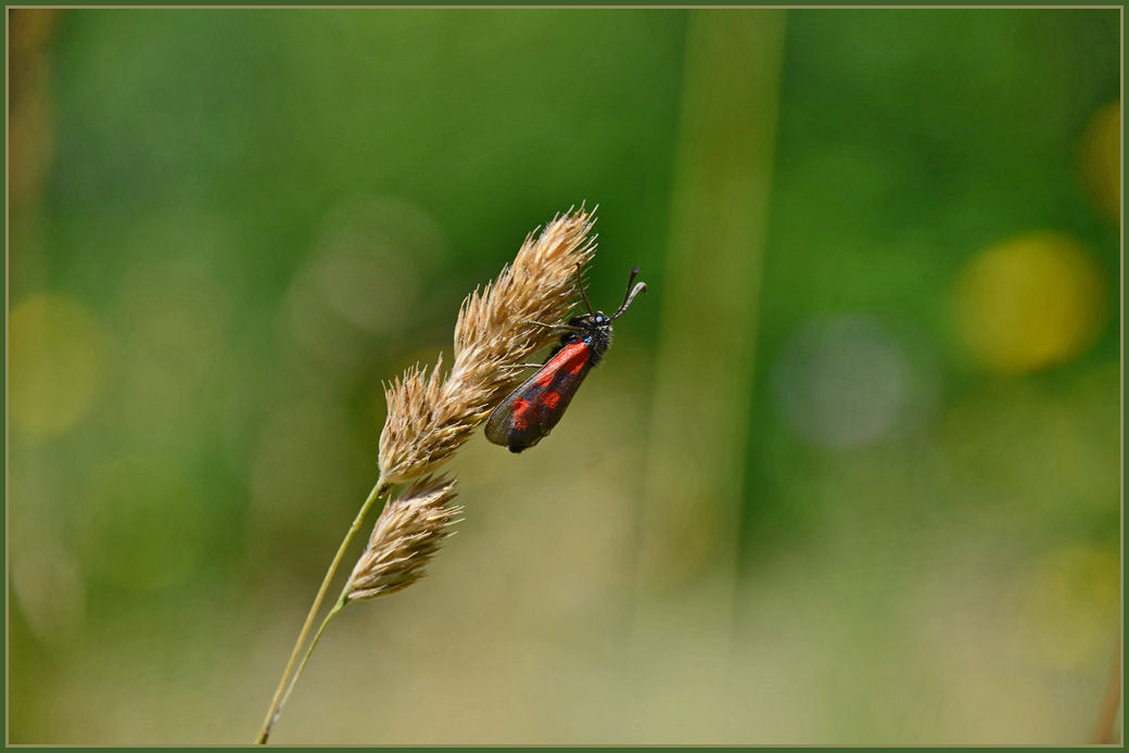 Festhalten kleiner Mann der Wind geht ;-))