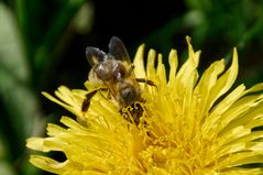 Festhalten und tief eintauchen