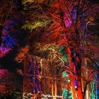 Festival Arbres en Fête, Genève