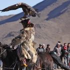 Festival des Aigliers en Mongolie...Démonstration...