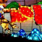 Festival des Lumières à Gaillac - 3 - 