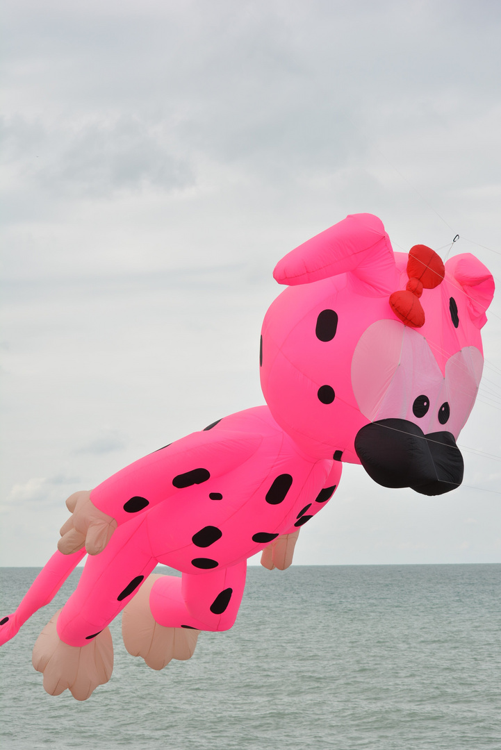 Festival du cerf-volant de Dieppe