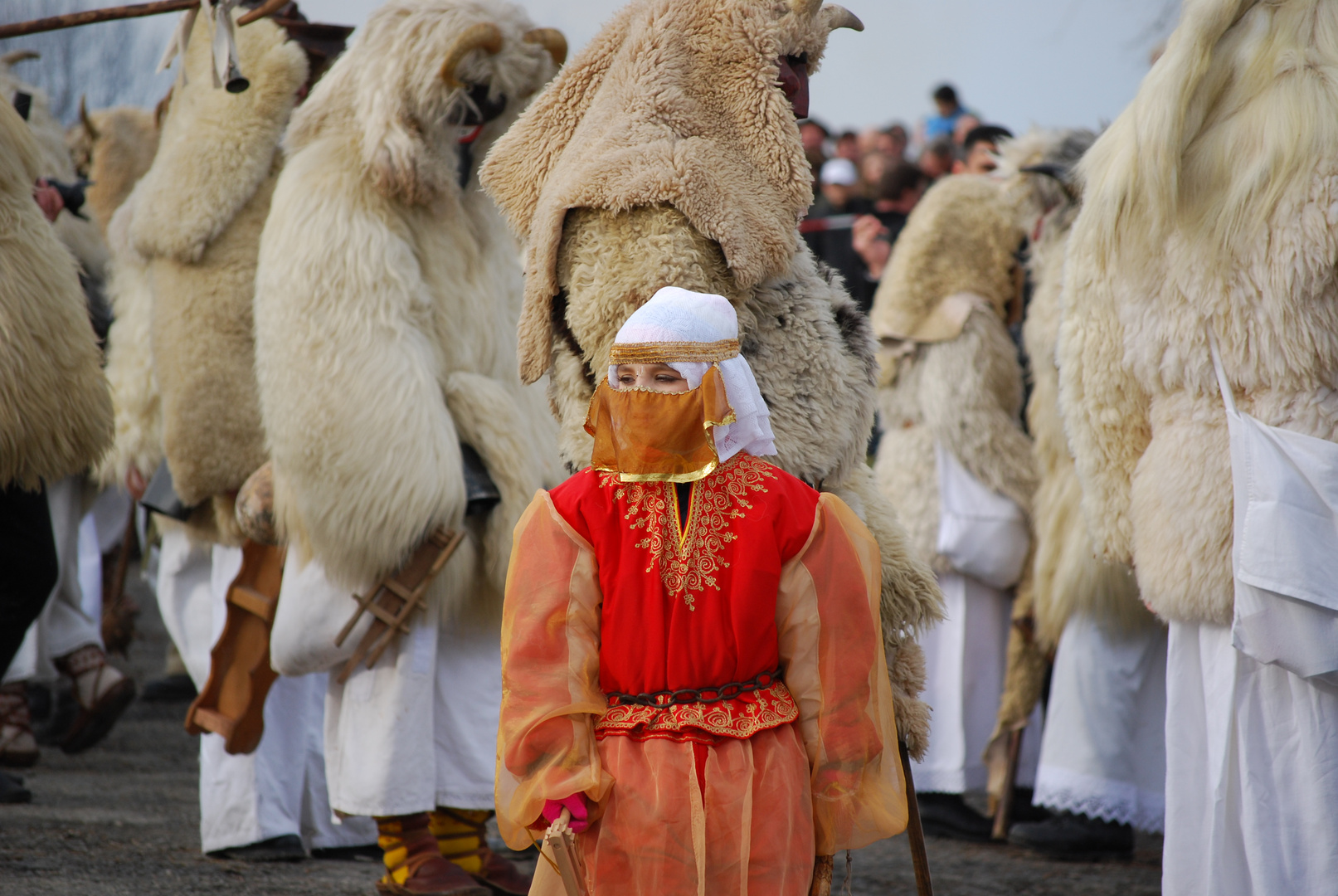 festival of Bushos in hungary