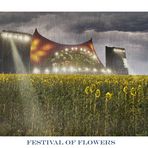 FESTIVAL OF FLOWERS