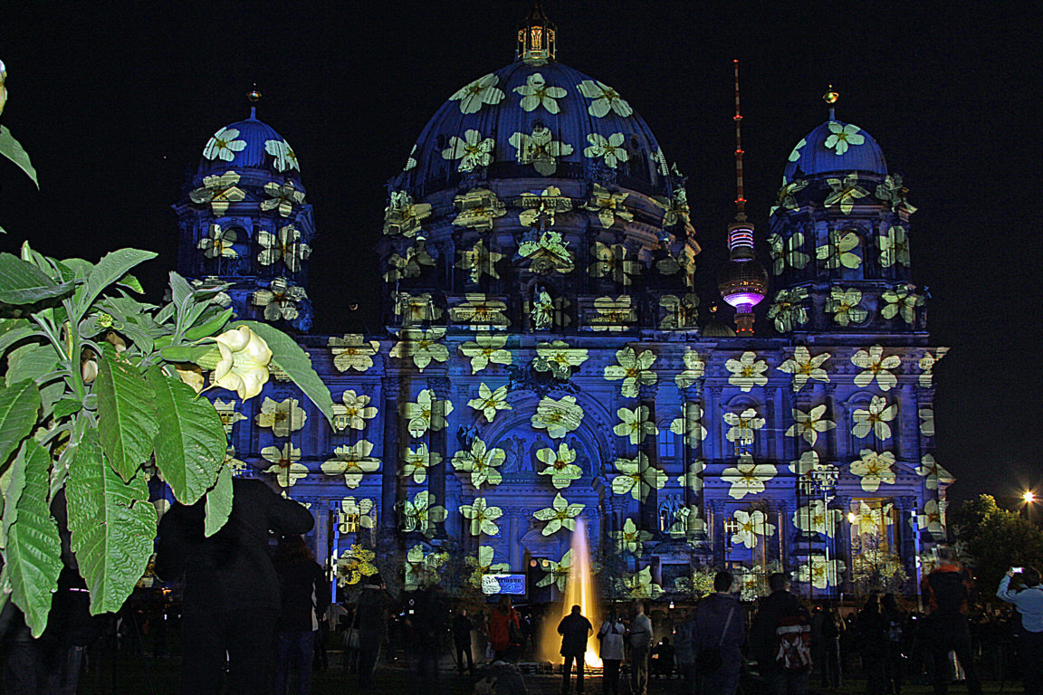 Festival of Light - Berlin 2013 (4)