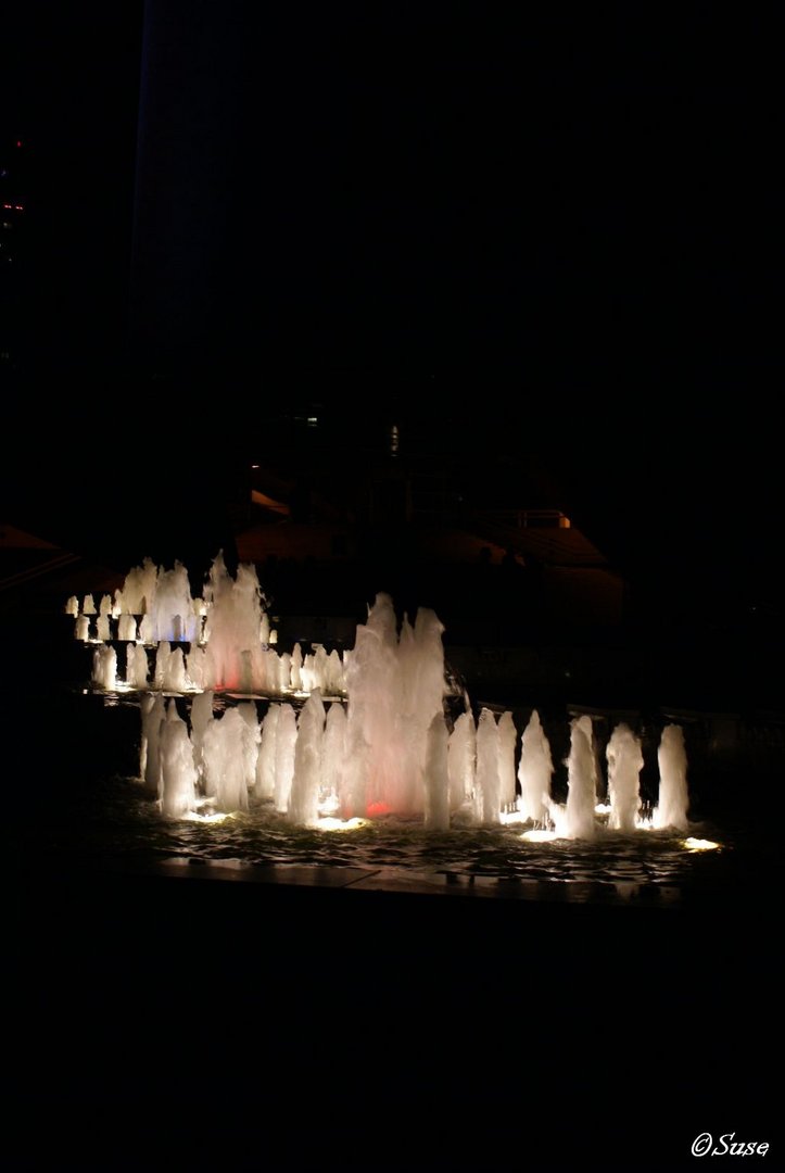 Festival of Lights `10 Springbrunnen