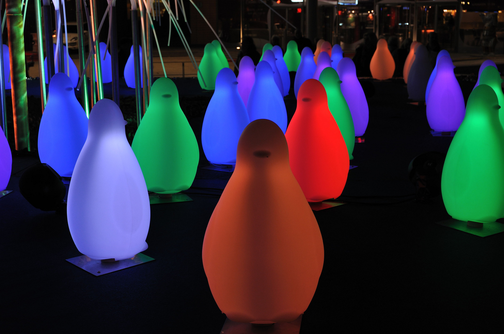 Festival of lights - 2011 - Pinguine