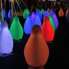 Festival of lights - 2011 - Pinguine