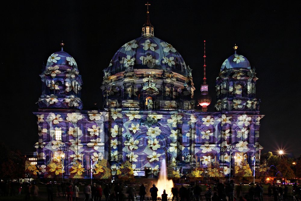 Festival of Lights 2013 / Berliner Dom (2)