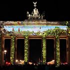 Festival of Lights 2013 / Brandenburger Tor (1)