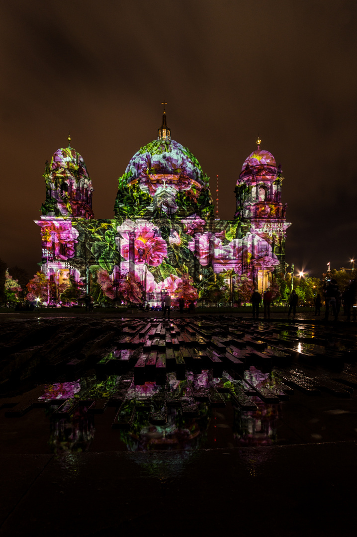 Festival of Lights Berlin 2014 Rosen Dom