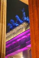 Festival of Lights-Brandenburger Tor(2)