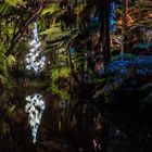 Festival of Lights - "Droplet", New Plymouth, New Zealand