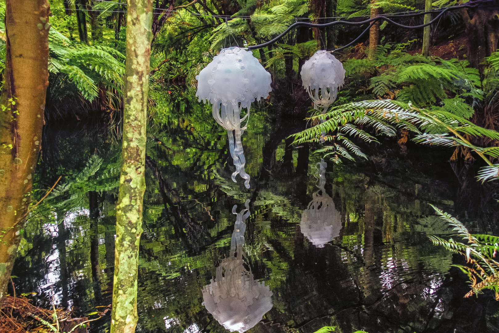 Festival of Lights im Pukekura Park, New Plymouth, Neuseeland