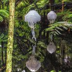 Festival of Lights im Pukekura Park, New Plymouth, Neuseeland