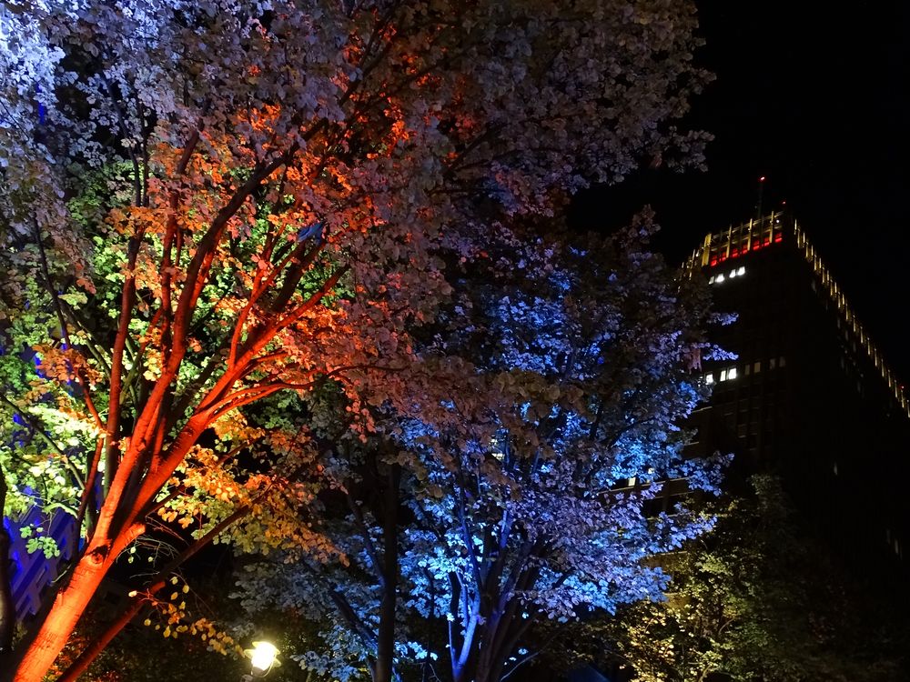 Festival Of Lights Potsdamer Platz 2015