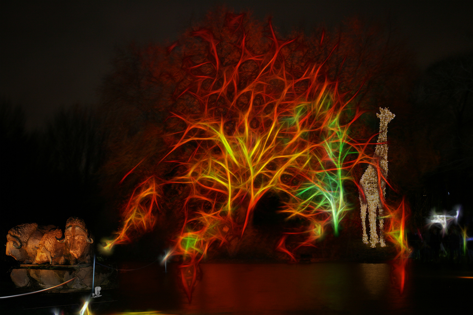 Festival off Lights_Tierpark