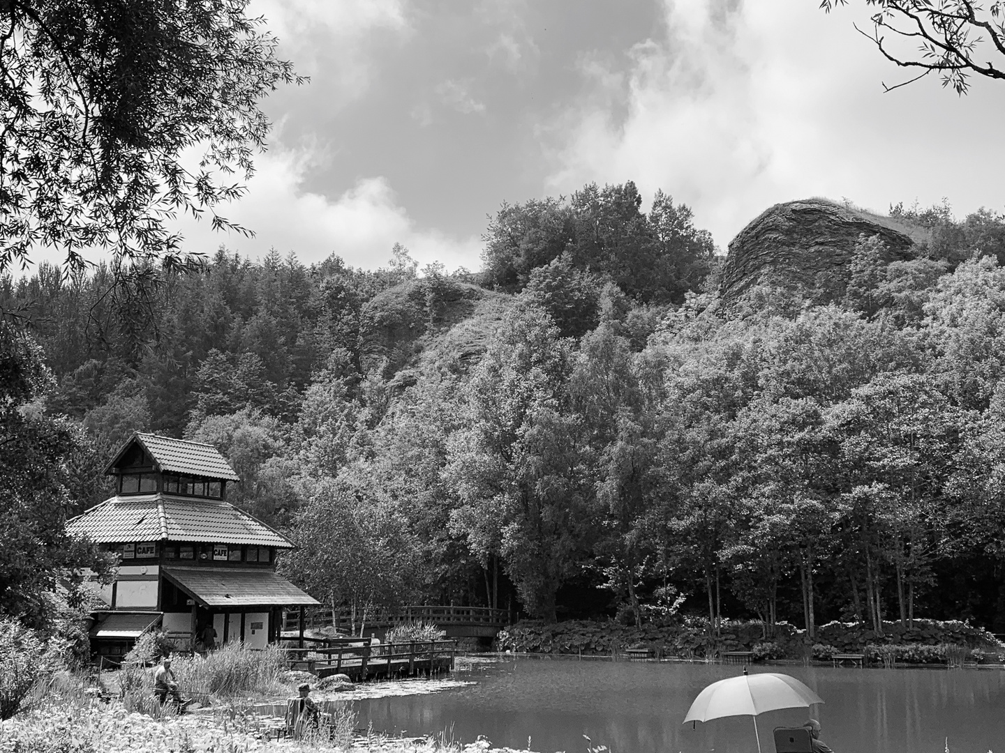 Festival Park Chinese Pavillion 2020