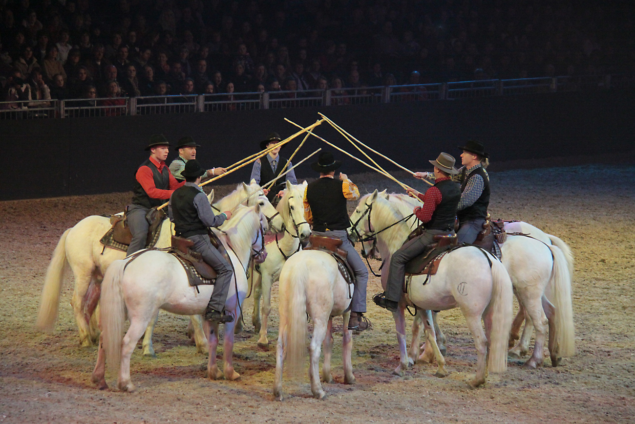 Festivallo, Camarguebild