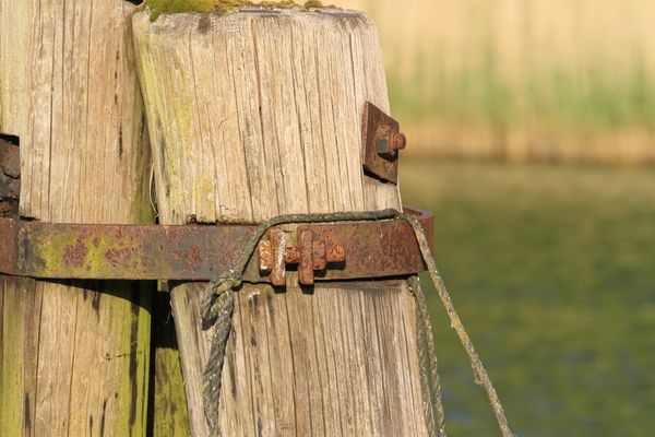 Festmacher-Dalben in Missunde