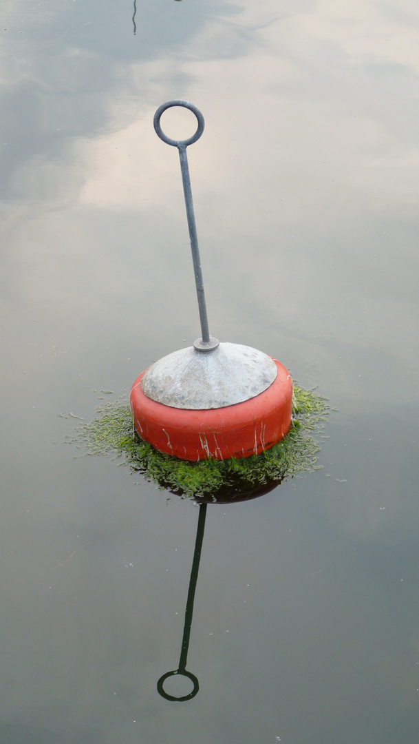 Festmacher in Barhöft im Hafen bei Flaute