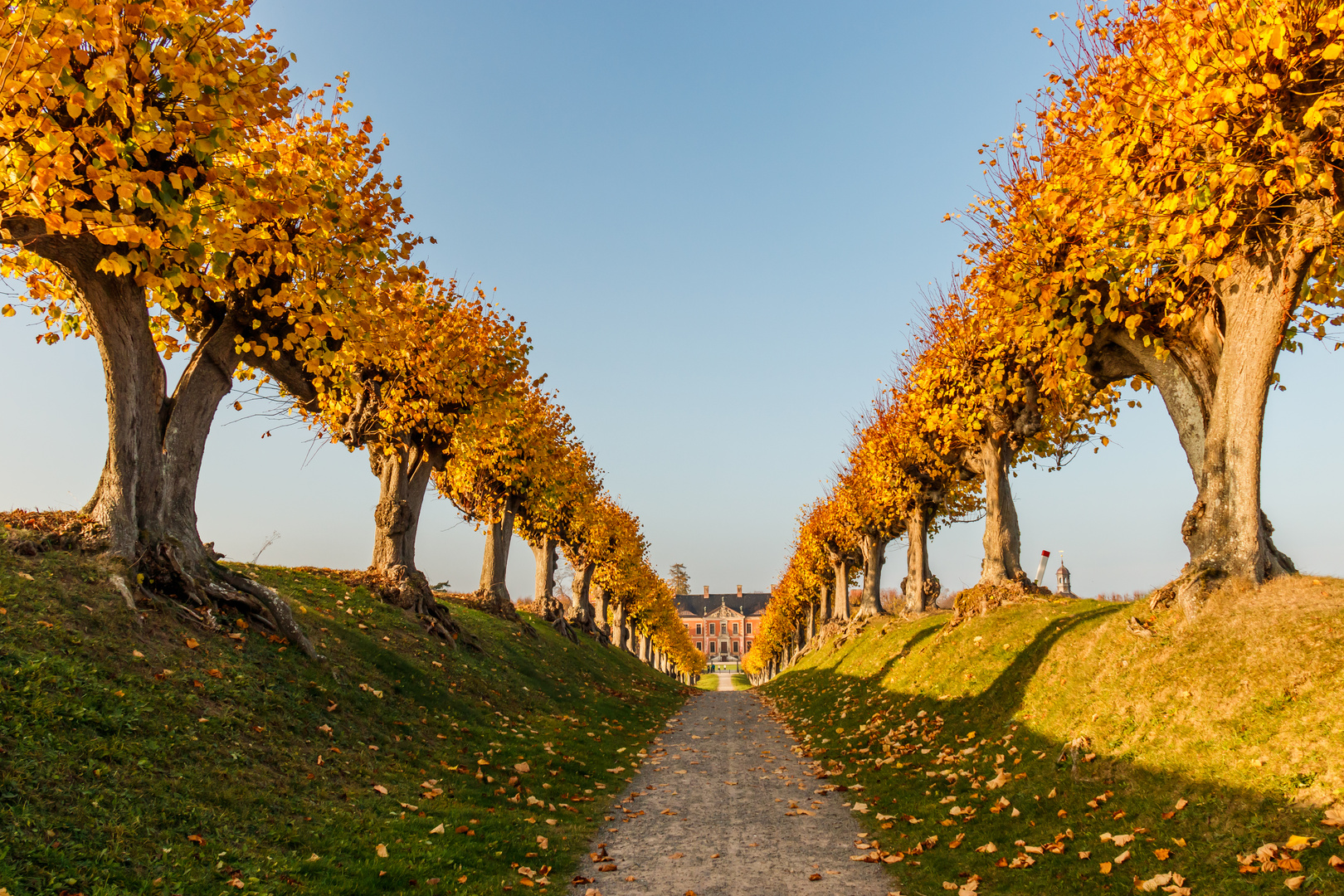 Feston -Allee des Schlosses Bothmer im Herbst