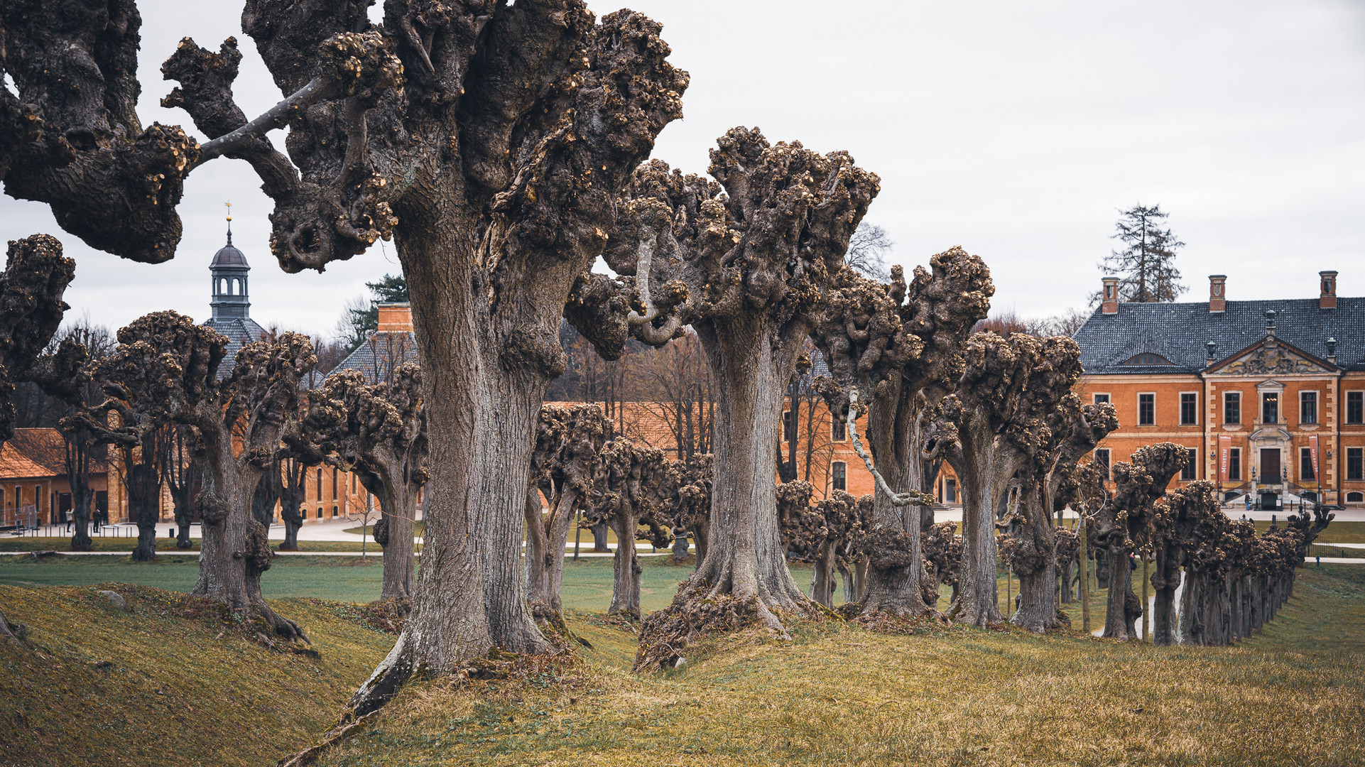 Festonalle, Schloss Bothmer