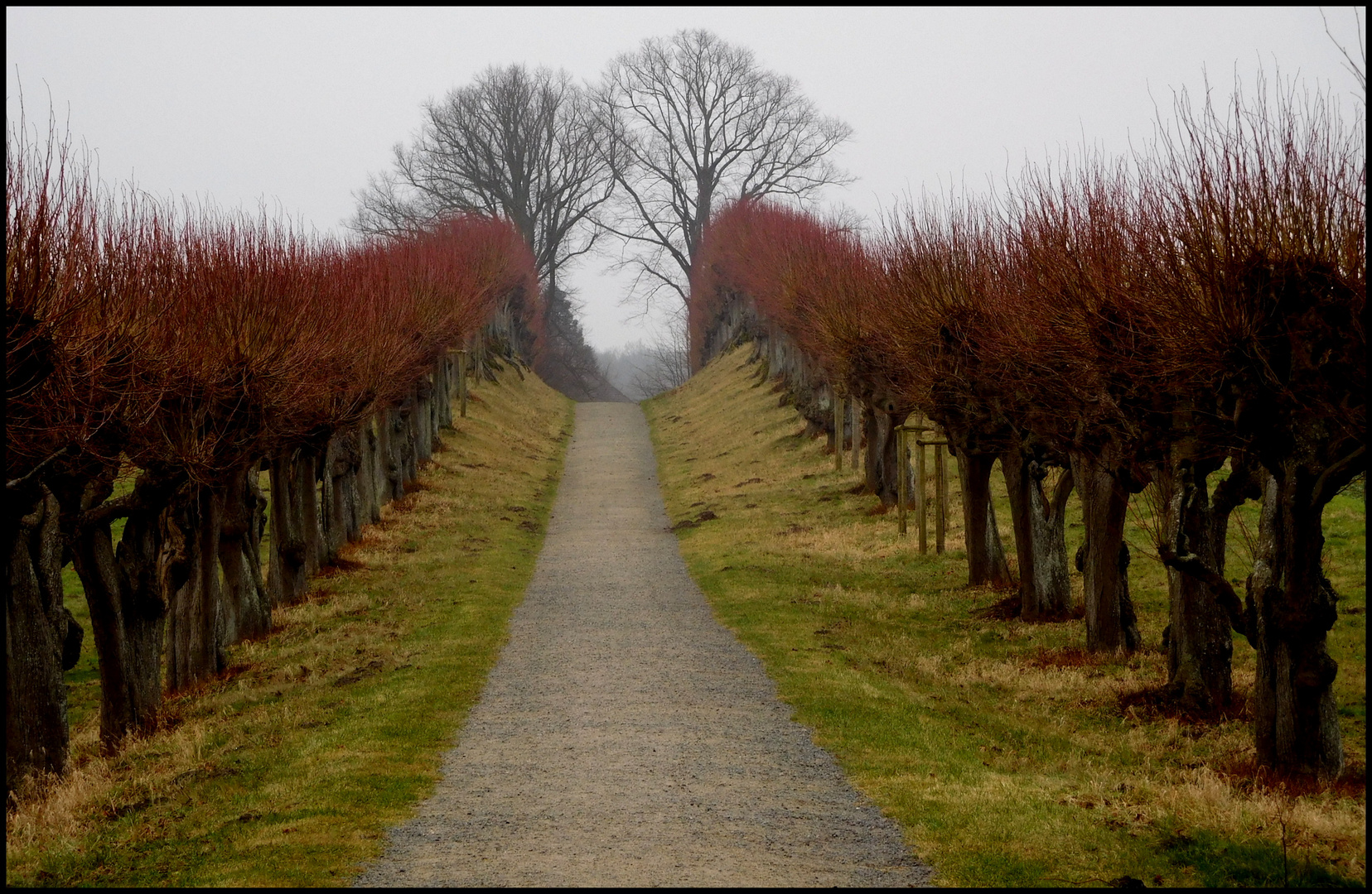 Festonallee im Winter