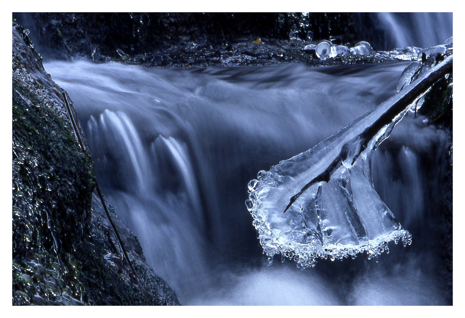 Festons de glace