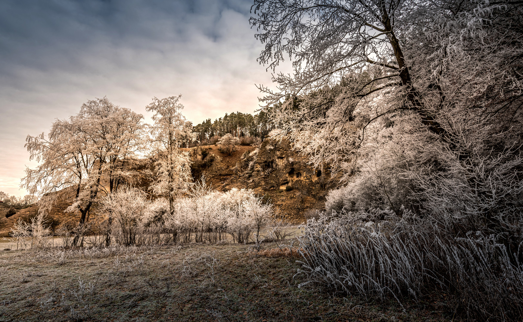 Festspiele der Natur