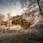 Festspiele der Natur