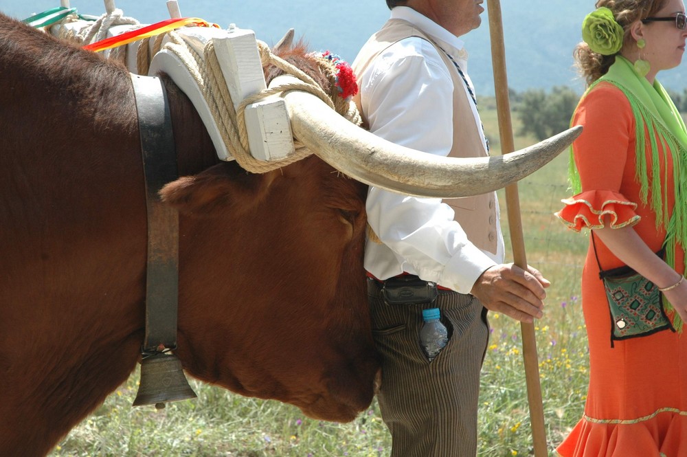 Festumzug in Prado del Rey