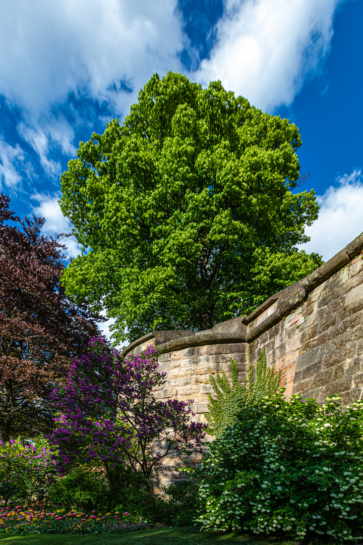 Festung der Natur 