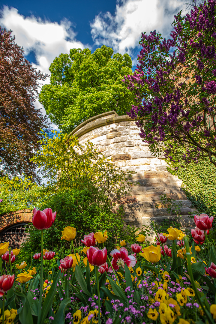 Festung der Natur II