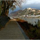 Festung Ehrenbreitstein / Koblenz im Herbstlicht (2)