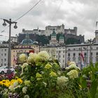  Festung Hohensalzburg 