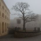 Festung im Nebel 