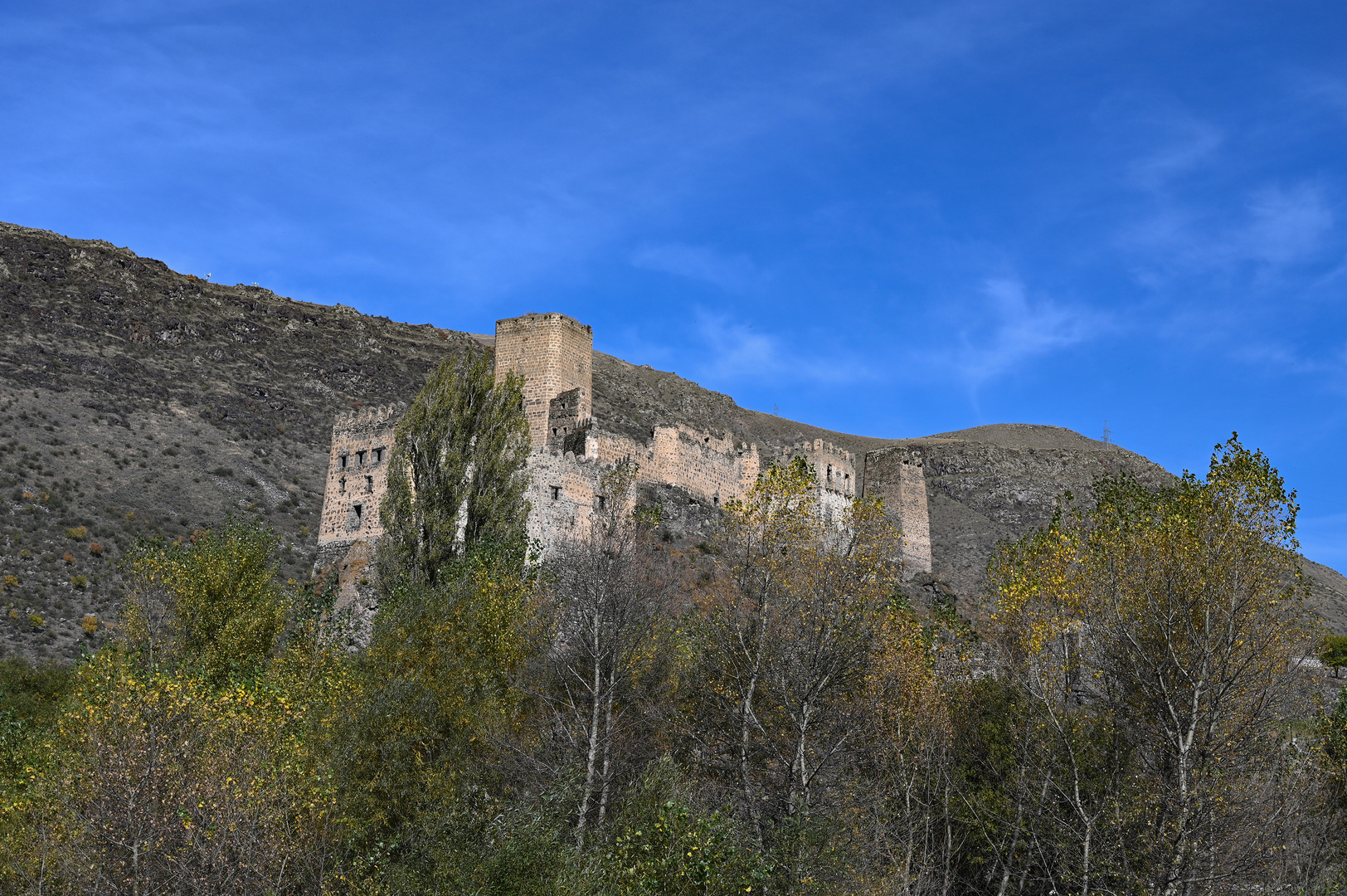 Festung Khertvisi