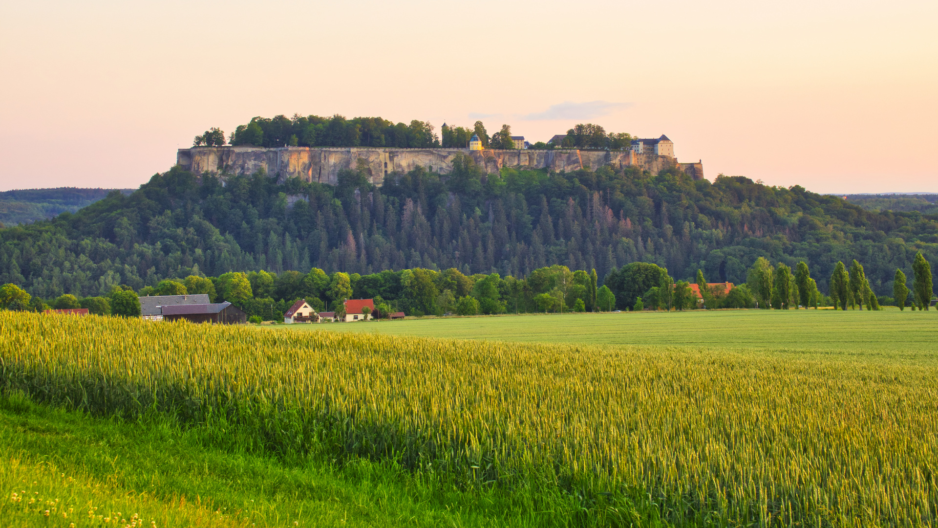 Festung Königstein