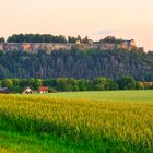 Festung Königstein