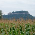 Festung Königstein