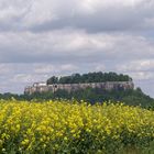 Festung Königstein