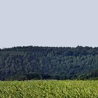 Festung Königstein am rechten Rand und Pfaffenstein vom anderen Elbufer und...