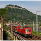 Festung Königstein II