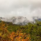 Festung Königstein  - Im Herbstnebel (2)