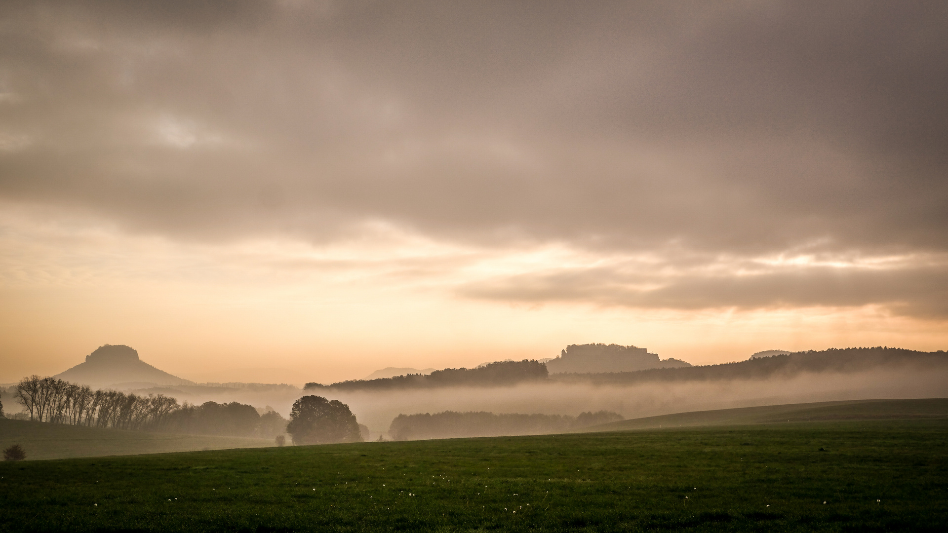 Festung Königstein im Nebel