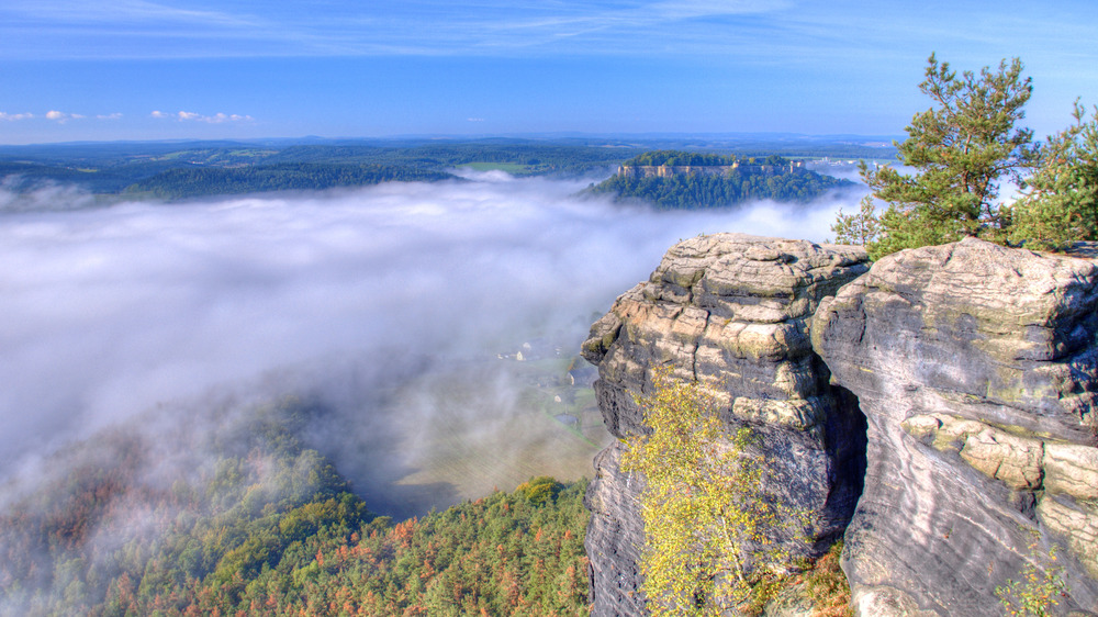 Festung Königstein im Nebelmeer