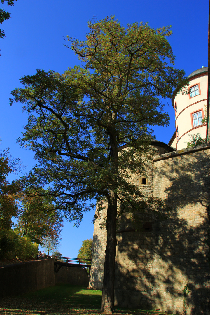 Festung Marienberg - 4 -